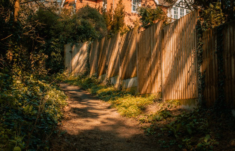 A narrow, unpaved dirt pathway runs alongside a wooden fence, primarily composed of vertical slats with a natural, weathered light brown finish. The fence is partially obscured by dense greenery and climbing plants, some with dark green leaves, which extend above and around the fence line. Sunlight casts long shadows of the foliage onto the fence, creating a pattern of light and dark across the slats. On the left side of the path, low-growing bushes and grass grow close to the ground, with some patches of bare soil visible. The scene suggests an exterior garden or back alleyway adjacent to residential properties, with a backdrop of parts of brick buildings visible beyond the fence, under a clear sky. The overall atmosphere is calm and shaded, emphasizing natural textures and earthy tones, which naturally relate to private waste handling or rubbish removal services operating in outdoor spaces similar to this environment.