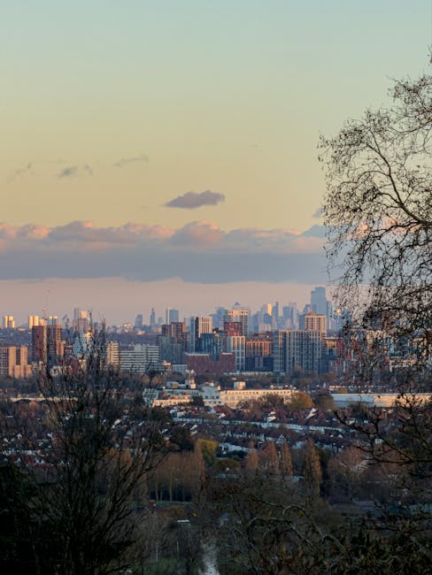 A panoramic cityscape view captured during late afternoon or early evening, featuring numerous high-rise buildings and urban structures with varying heights, set against a sky with soft pastel hues of pink, orange, and pale blue. In the foreground, leafless trees with thin, branching limbs frame the scene, indicating a season of late autumn or winter. Low-rise residential houses with red-tiled roofs and dark chimneys are visible beneath the trees, alongside patches of green foliage, suggesting a suburban or residential area situated near the city. The distant skyline displays modern office and apartment buildings with glass and concrete facades, creating a contrast with the natural landscape in the foreground. The lighting is diffuse, with no harsh shadows, conveying a calm and clear atmosphere suitable for observing urban development from an elevated vantage point. This scene exemplifies a typical urban environment that could benefit from professional waste management or rubbish collection services provided by companies like Waste Collection Harrow, especially in managing waste generated in both residential and commercial areas in the city.